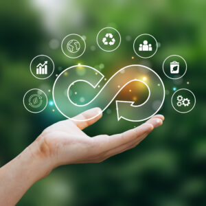 Modelos de Negocio en la Economía Circular