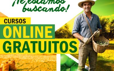 Acción Laboral Córdoba impulsa el futuro de los autónomos en Andalucía